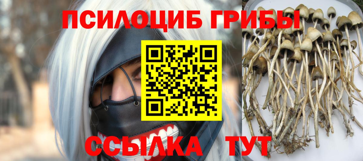 Галлюциногенные грибы ЛСД  Вход с VPN  Фурманов  Псилоцибиновые грибы мухоморы 